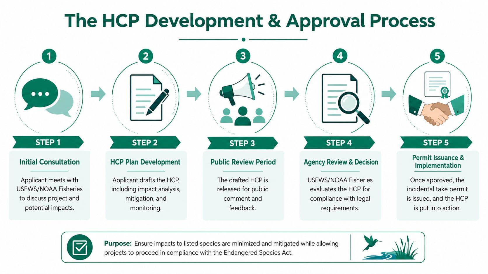 A flowchart showing the five-step process for developing and approving habitat conservation plans under US law.