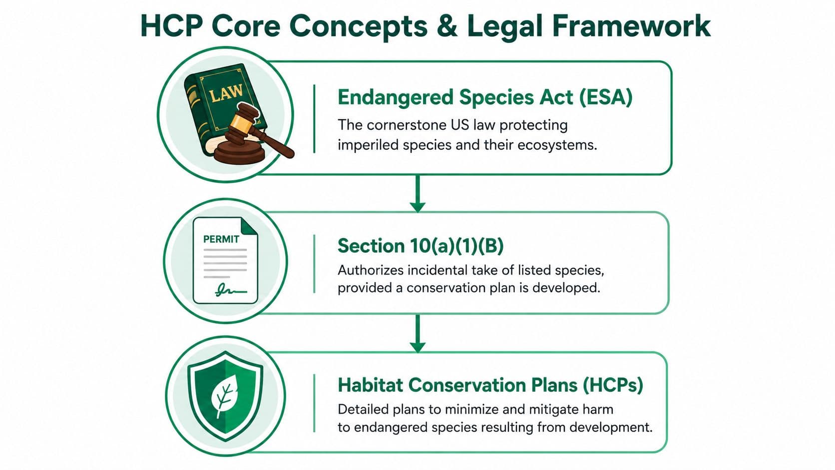 A flowchart explaining the legal framework for Habitat Conservation Plans under the Endangered Species Act.