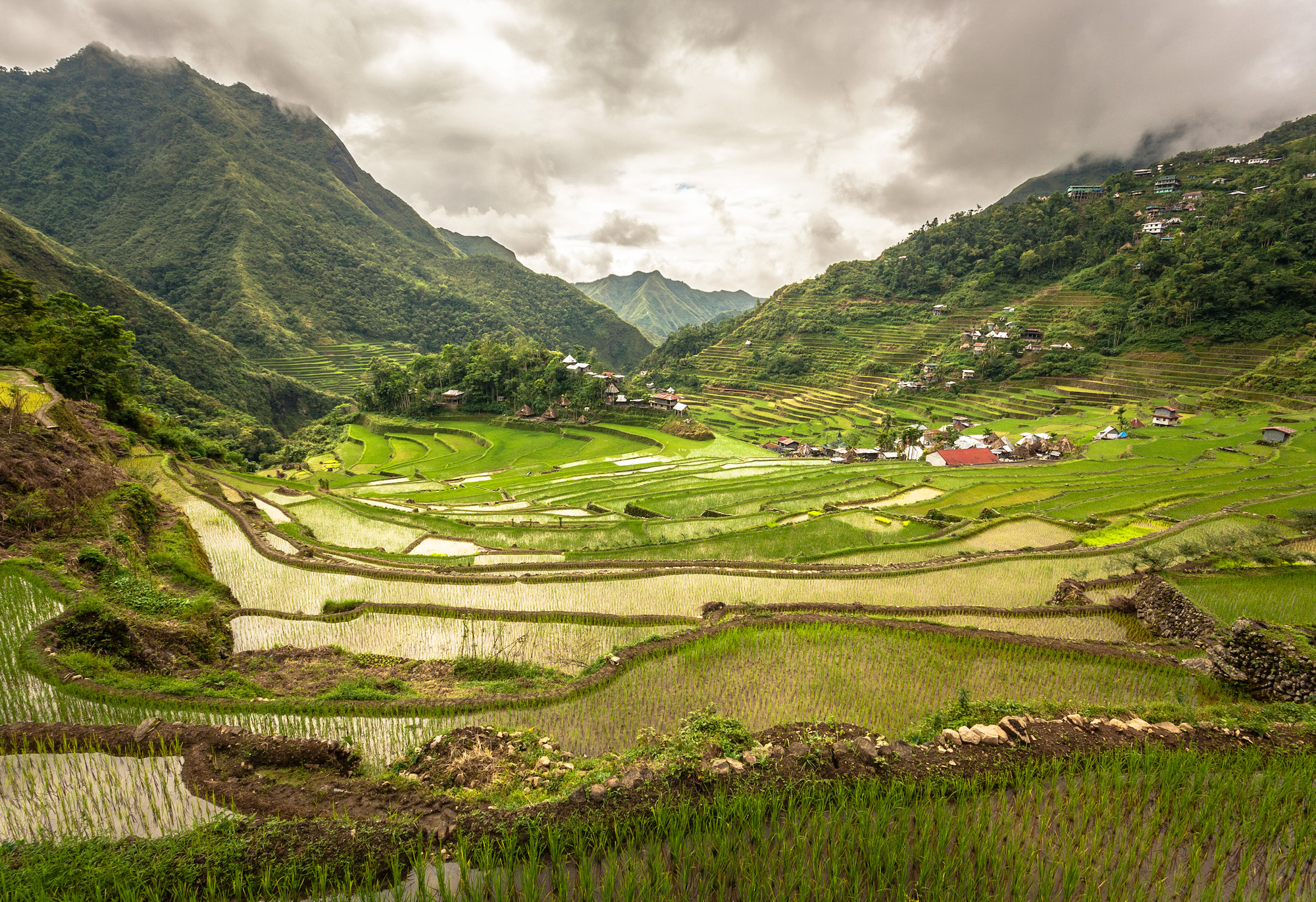 Rice Terraces of Batad, Philippines