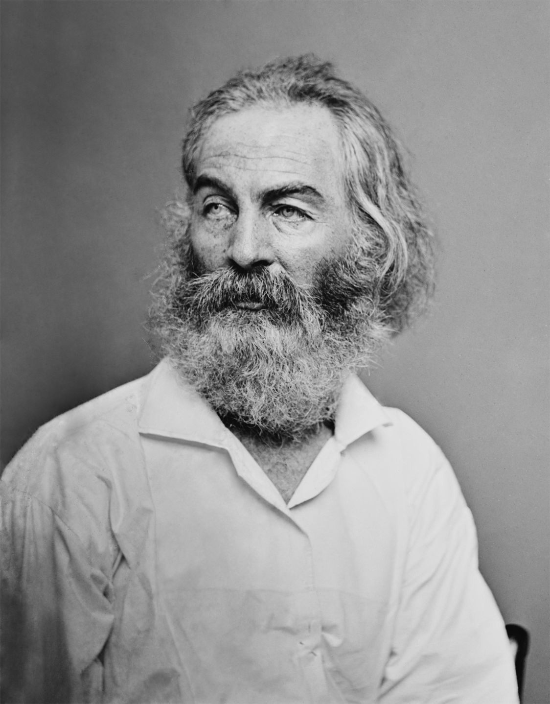Walt Whitman, as photographed by Mathew Brady